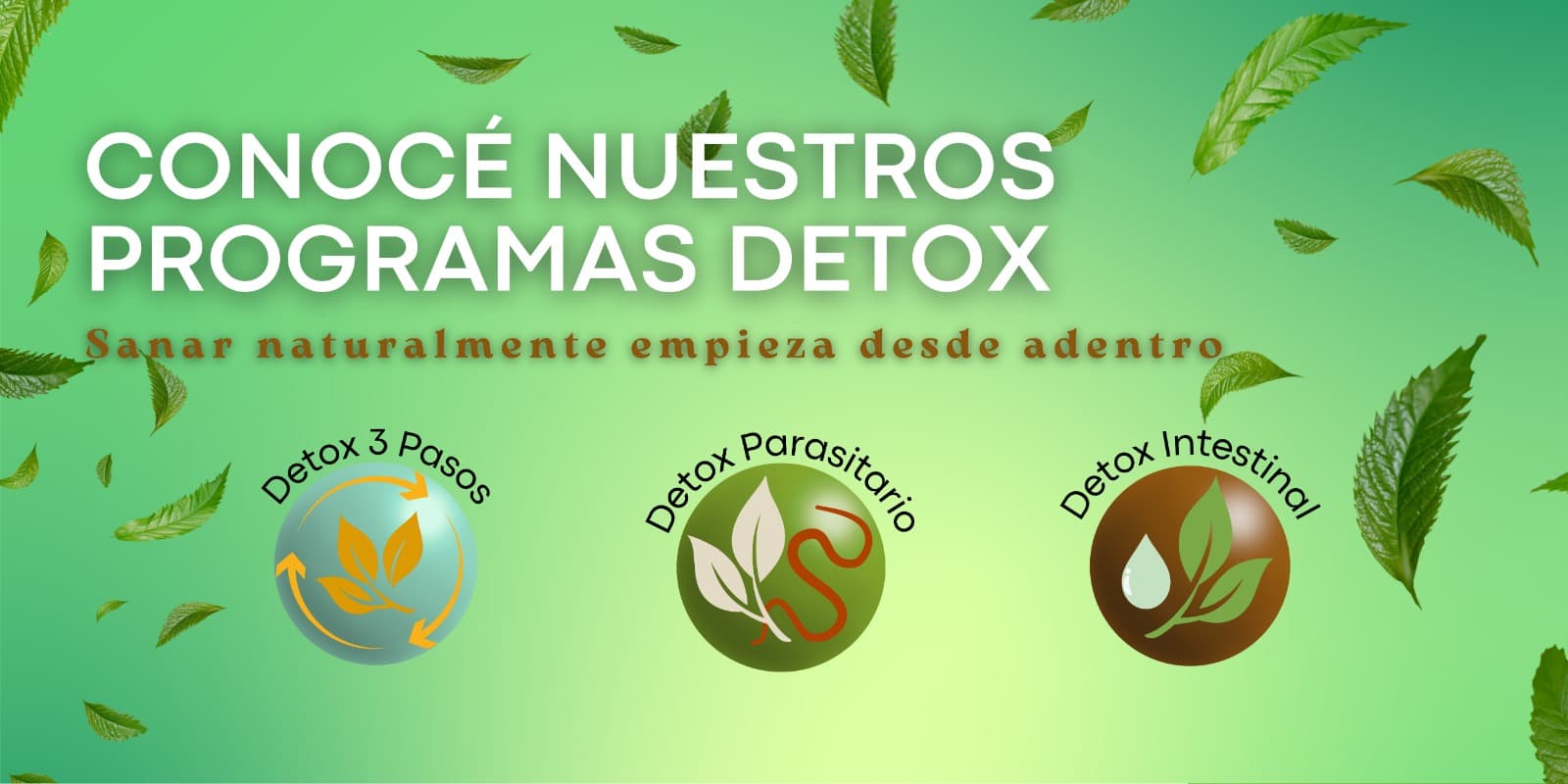 Salud Natural - Imagen 4